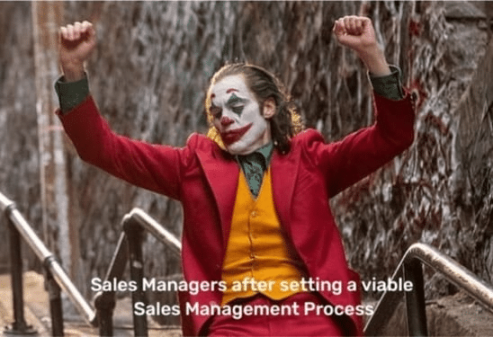 Sales managers after setting a viable sales management process