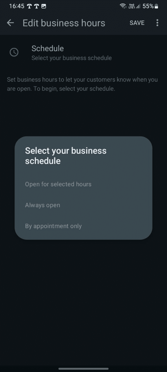 Select the business hour your business fucntion at in the profile setup section of then WhatsApp Business App