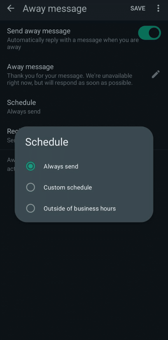 Decide the schedule for away message: always send, custom schedule, or send outside of business hours