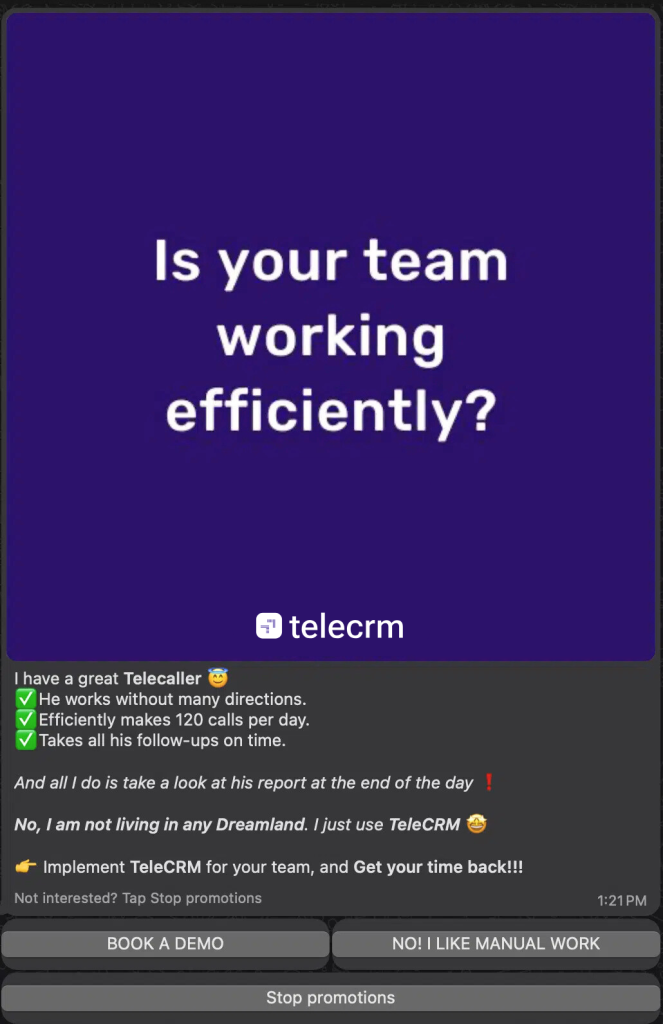 WhatsApp message sequence for convinvcing leads to book a demo of Telecrm.